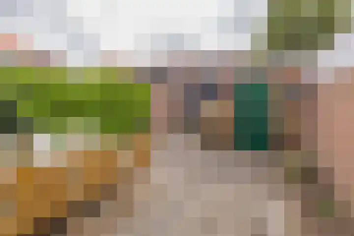 Bestevaerstraat 5 IJmuiden thumbnail 5