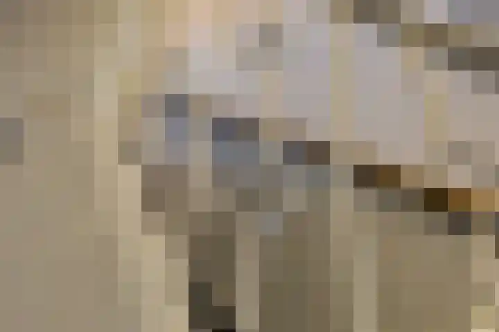 Bestevaerstraat 5 IJmuiden thumbnail 7