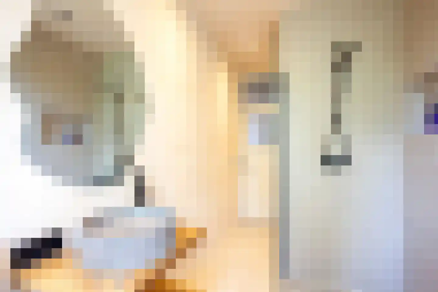 Bestevâerstraat 50 H Amsterdam thumbnail 18