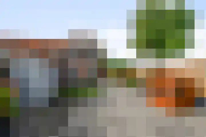 Bestevaerstraat 59 Assendelft thumbnail 14