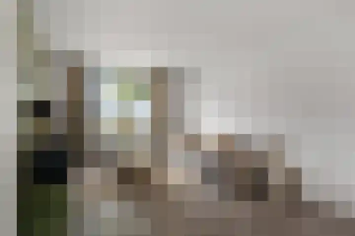 Bestevaerstraat 59 Assendelft thumbnail 4