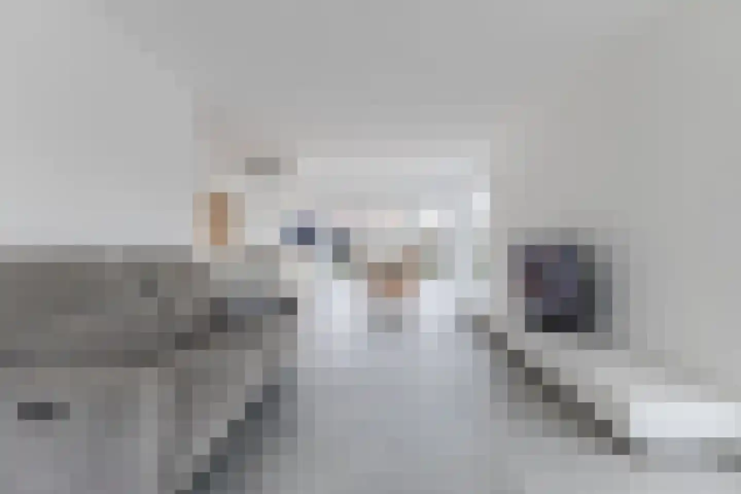 Bestevaerstraat 61 Assendelft thumbnail 18