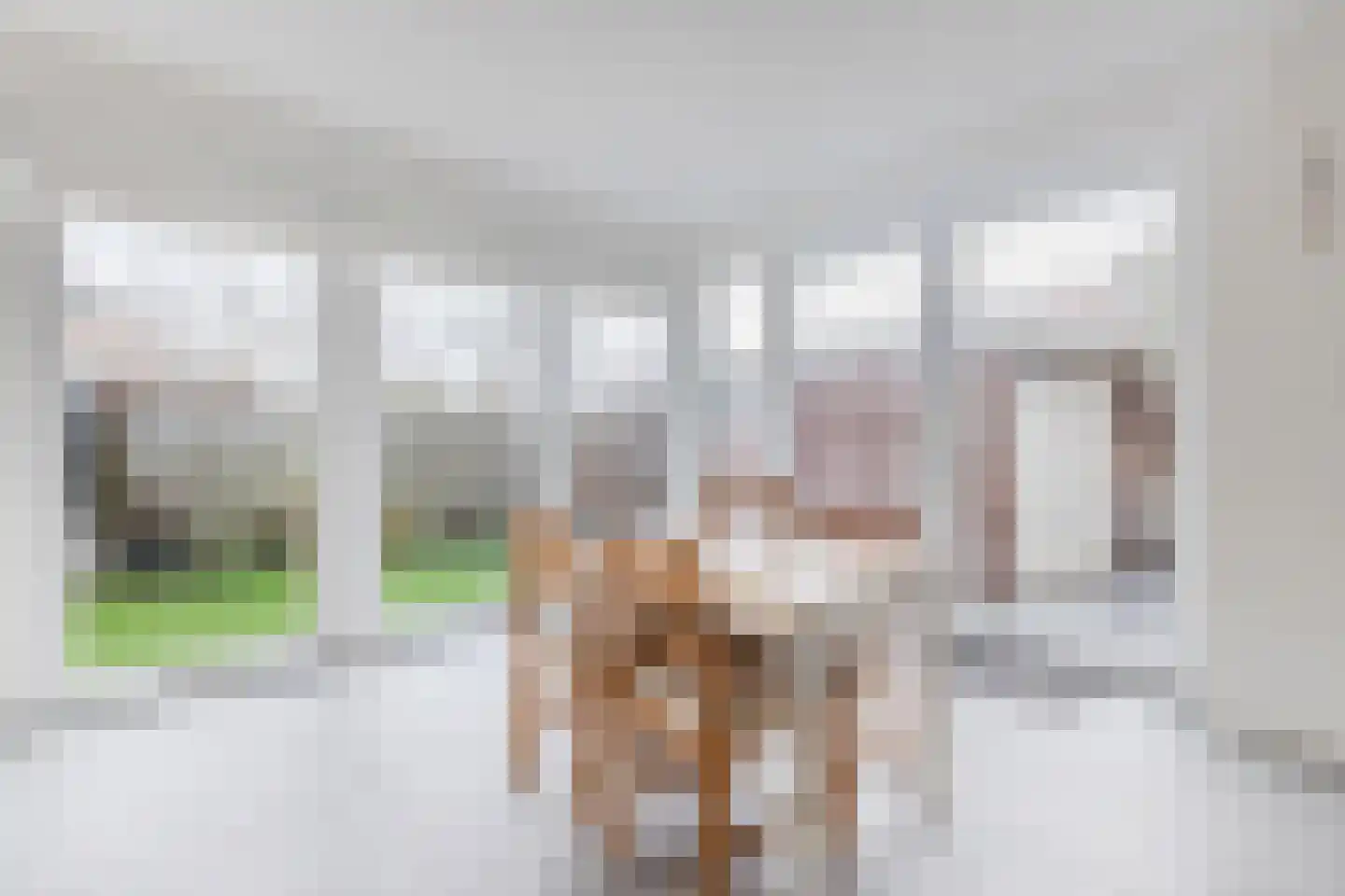Bestevaerstraat 61 Assendelft thumbnail 20