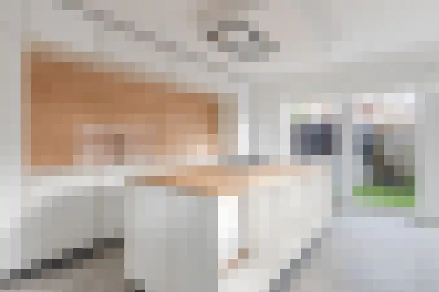Bestevaerstraat 61 Assendelft thumbnail 22