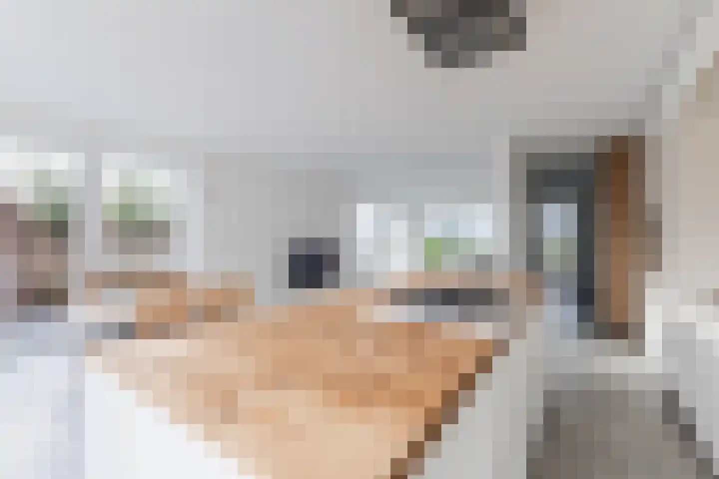Bestevaerstraat 61 Assendelft thumbnail 26