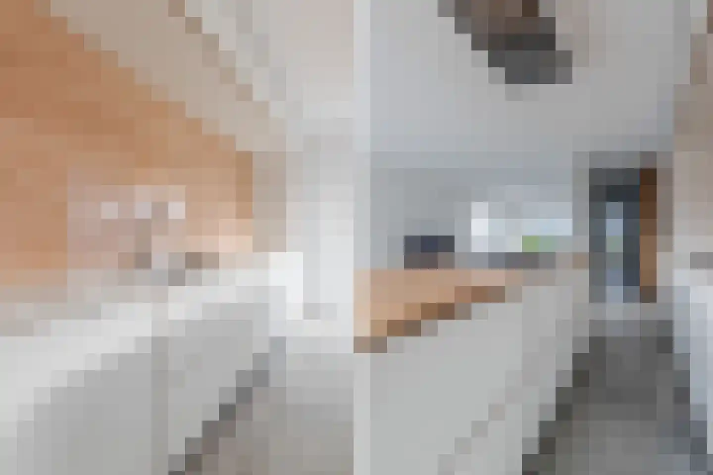 Bestevaerstraat 61 Assendelft thumbnail 27