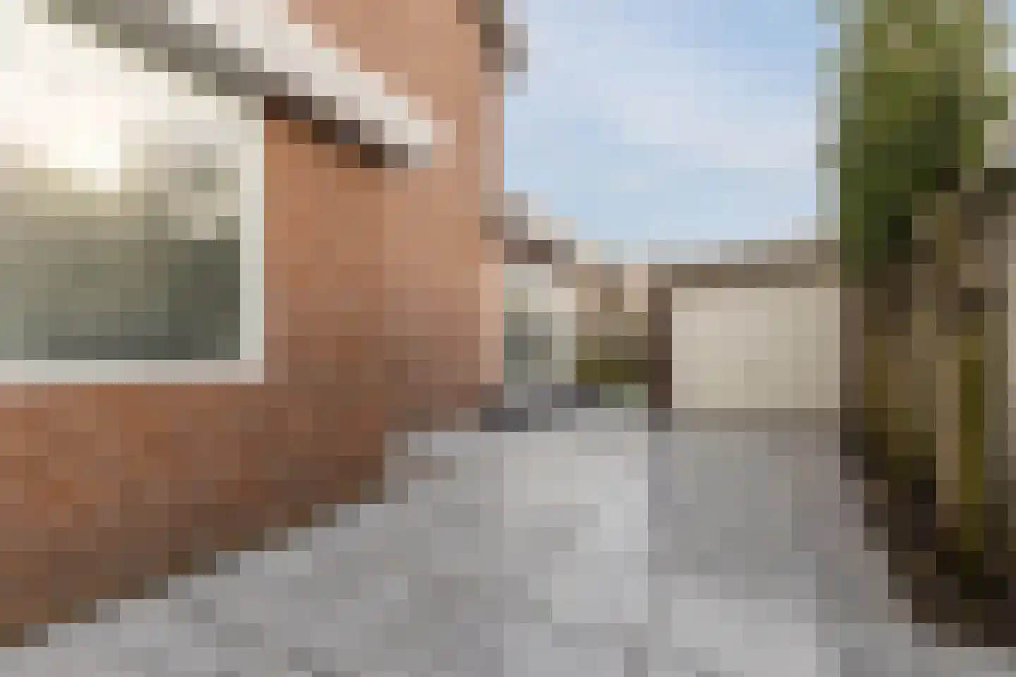 Bestevaerstraat 61 Assendelft thumbnail 47