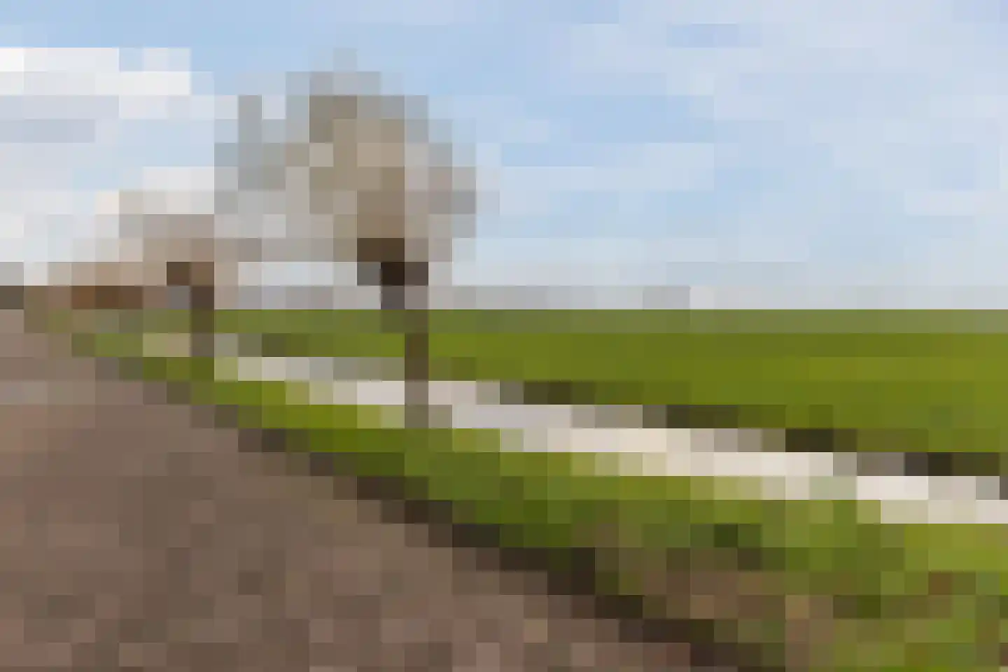 Bestevaerstraat 61 Assendelft thumbnail 55