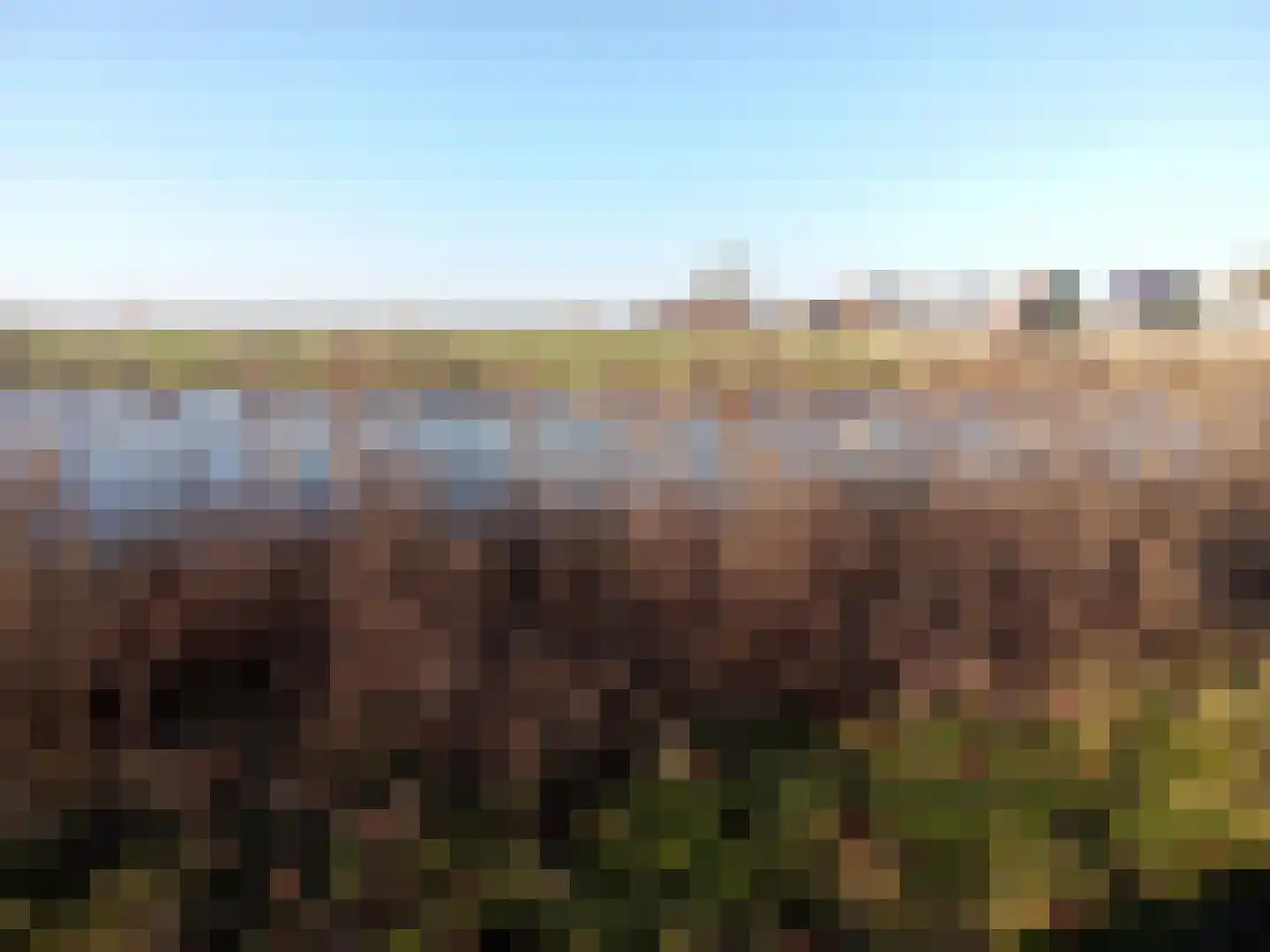 Bestevaerstraat 61 Assendelft thumbnail 6
