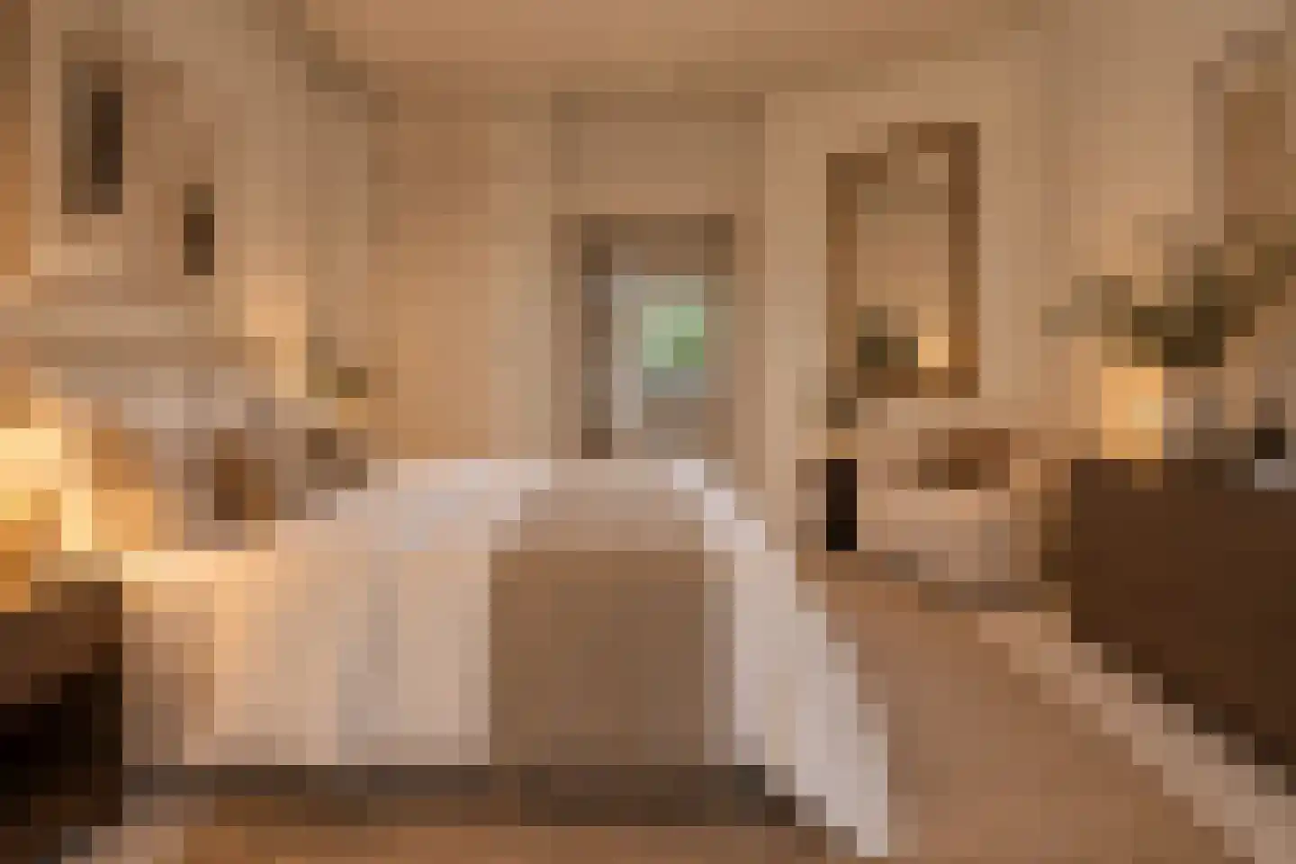 Bestevâerstraat 70 1 Amsterdam thumbnail 12