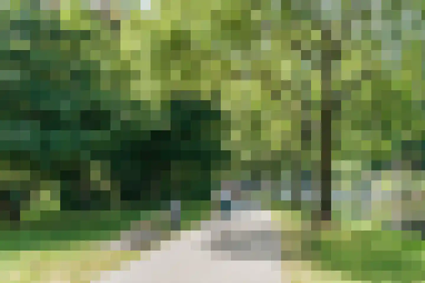 Bestevâerstraat 70 1 Amsterdam thumbnail 18