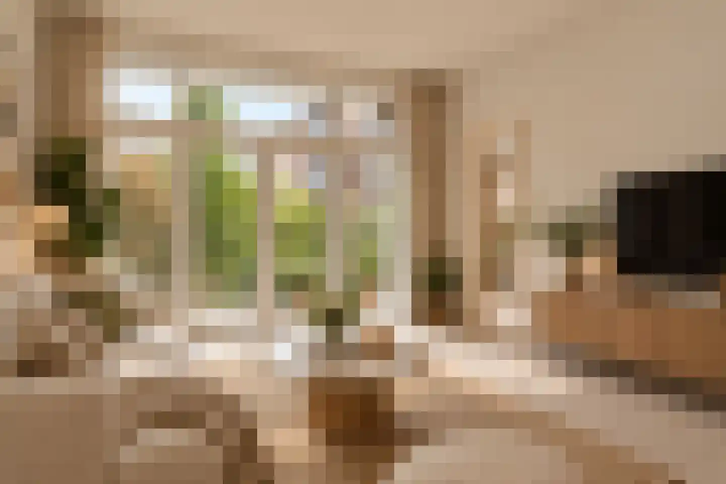 Bestevâerstraat 70 1 Amsterdam thumbnail 4