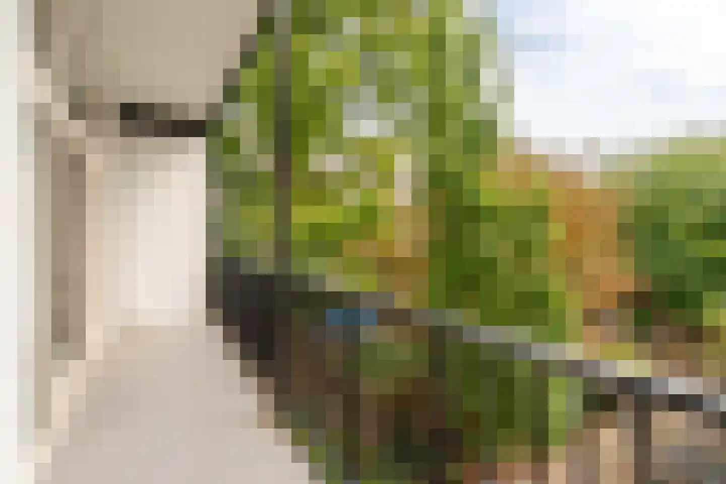 Bestevâerstraat 70 1 Amsterdam thumbnail 5