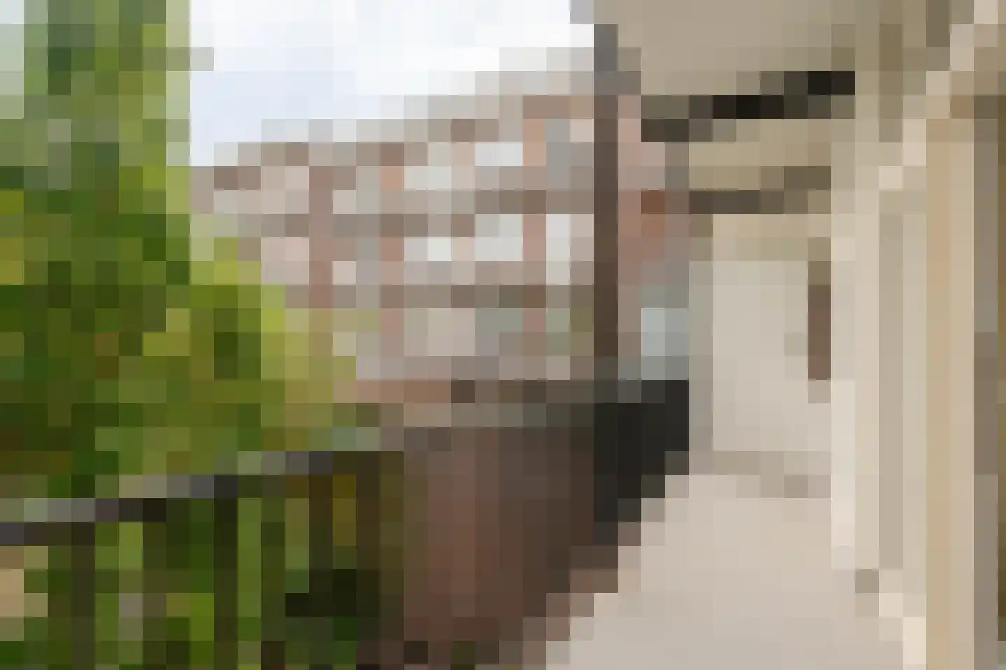 Bestevâerstraat 70 1 Amsterdam thumbnail 9