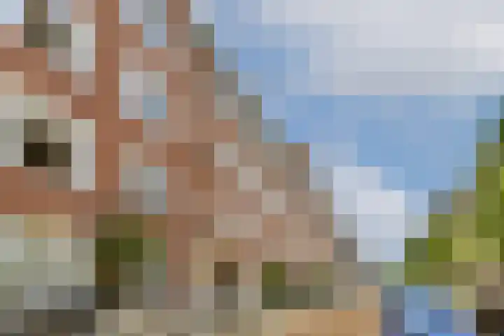 Bestevâerstraat 9 2 Amsterdam thumbnail 15
