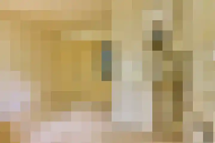 Bestevâerstraat 9 2 Amsterdam thumbnail 8