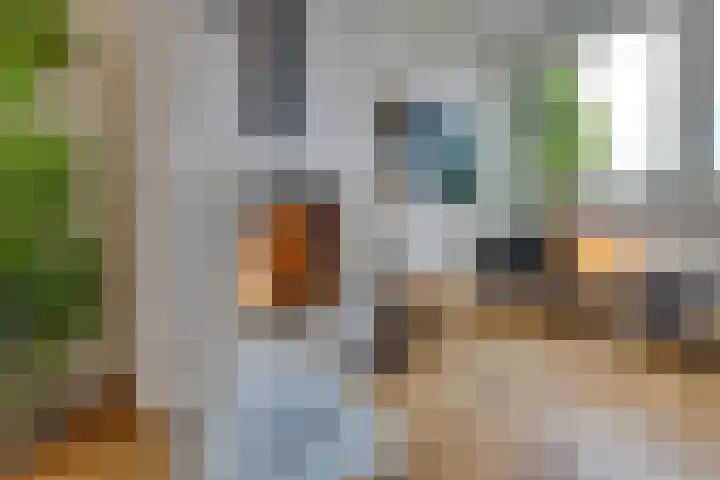 Bestevâerstraat 9 4 Amsterdam thumbnail 13