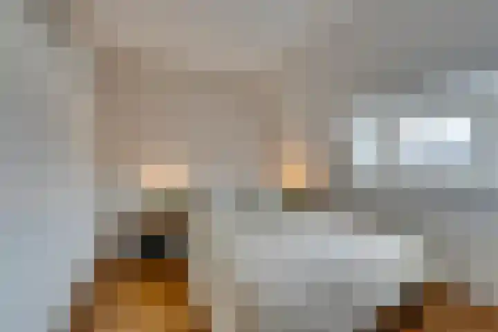 Bestevâerstraat 9 4 Amsterdam thumbnail 25