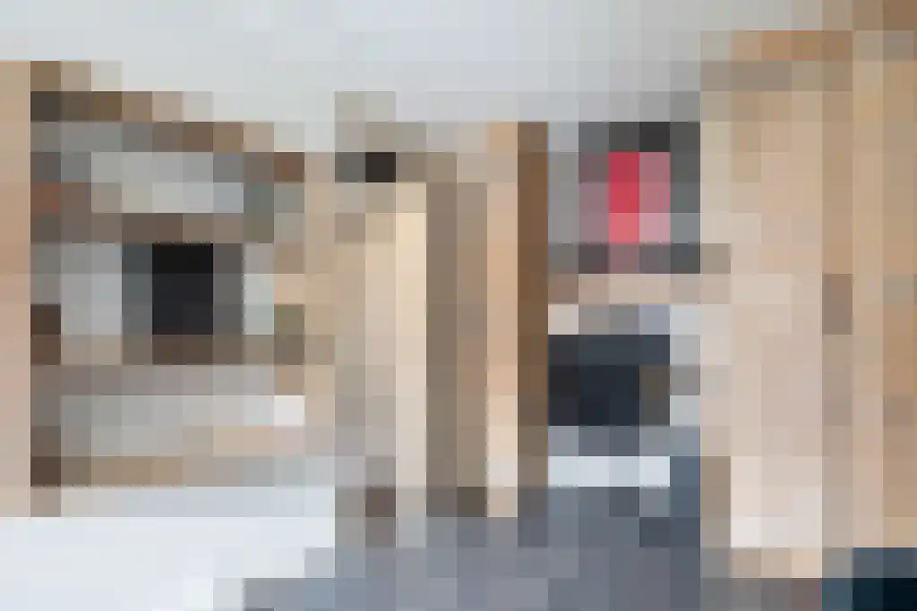 Bestevaerweg 14 Katwijk thumbnail 15