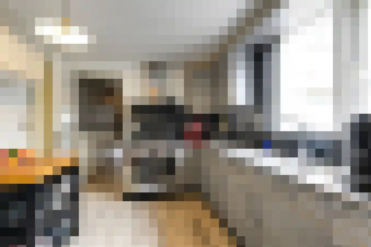 Bestevaerweg 15 Katwijk thumbnail 4