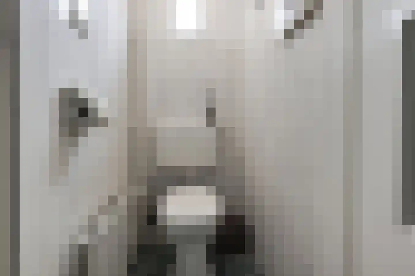 Bestevaerweg 15 Katwijk thumbnail 8