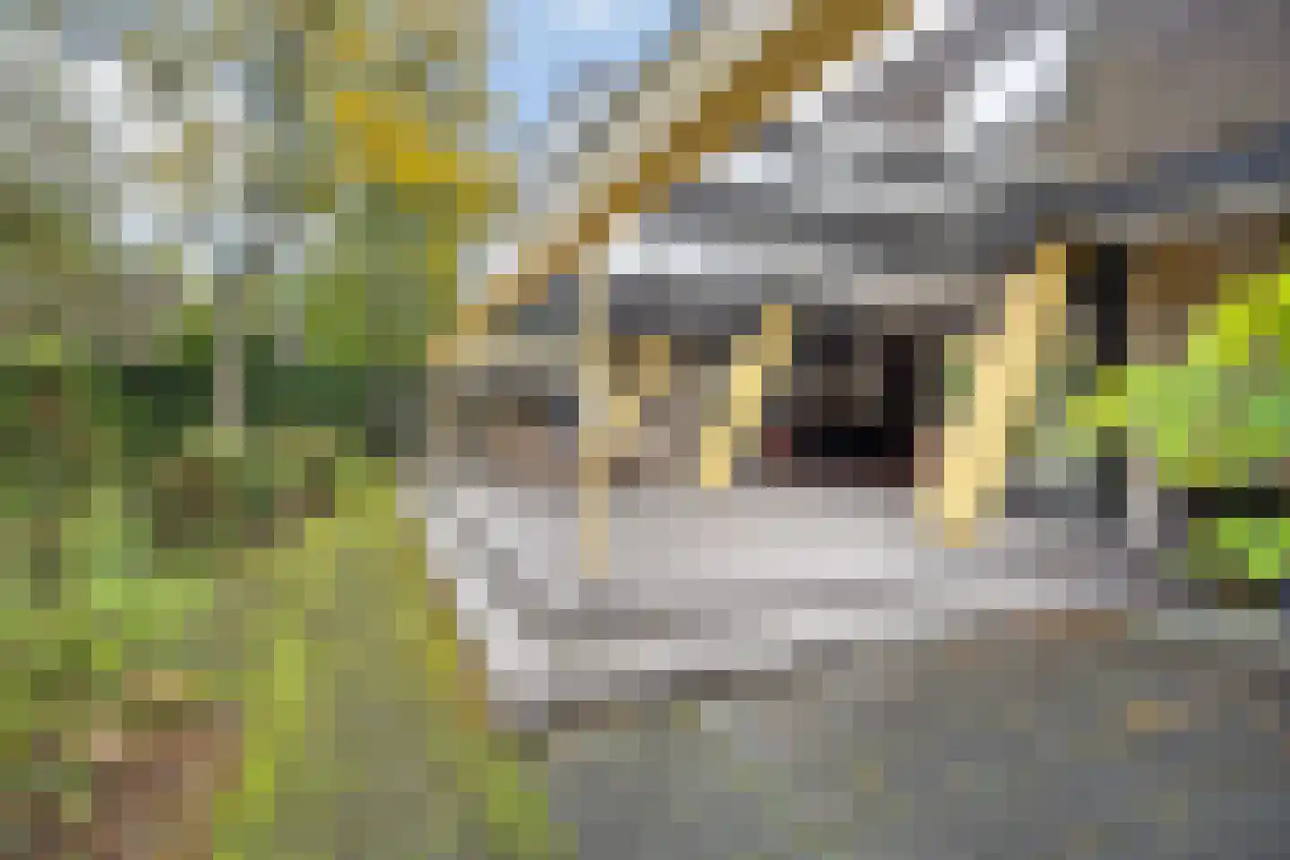 Besteveld 12 Breda thumbnail 104