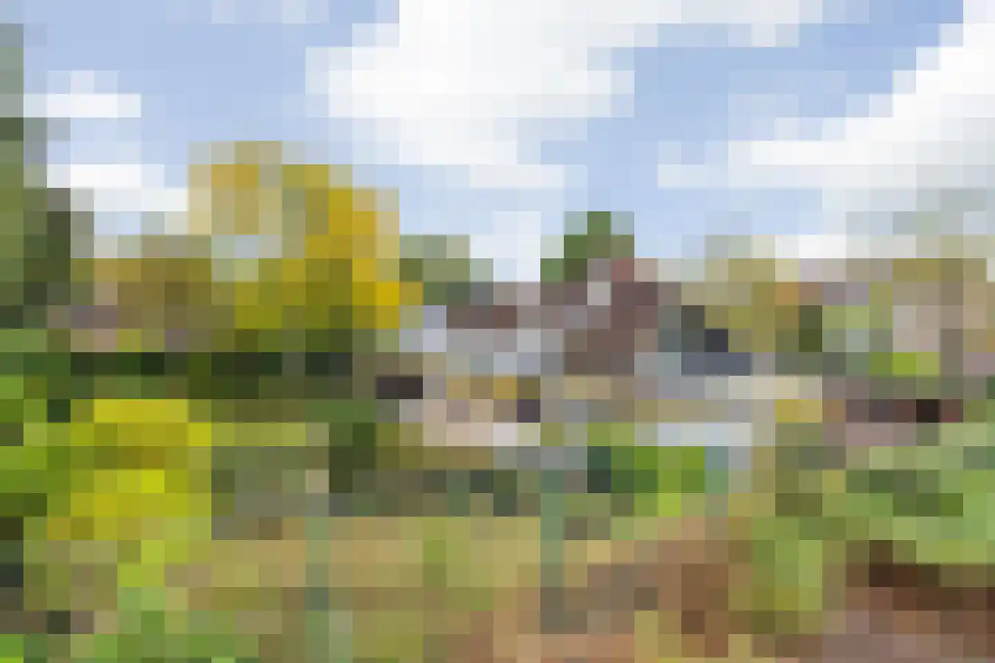 Besteveld 12 Breda thumbnail 13