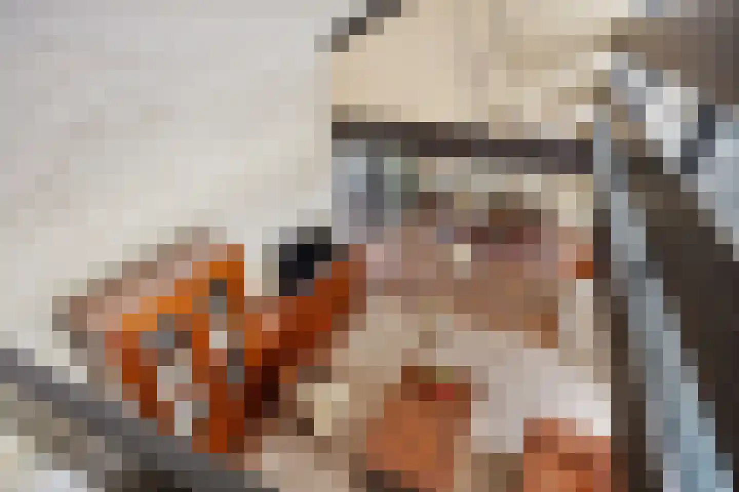 Besteveld 12 Breda thumbnail 29