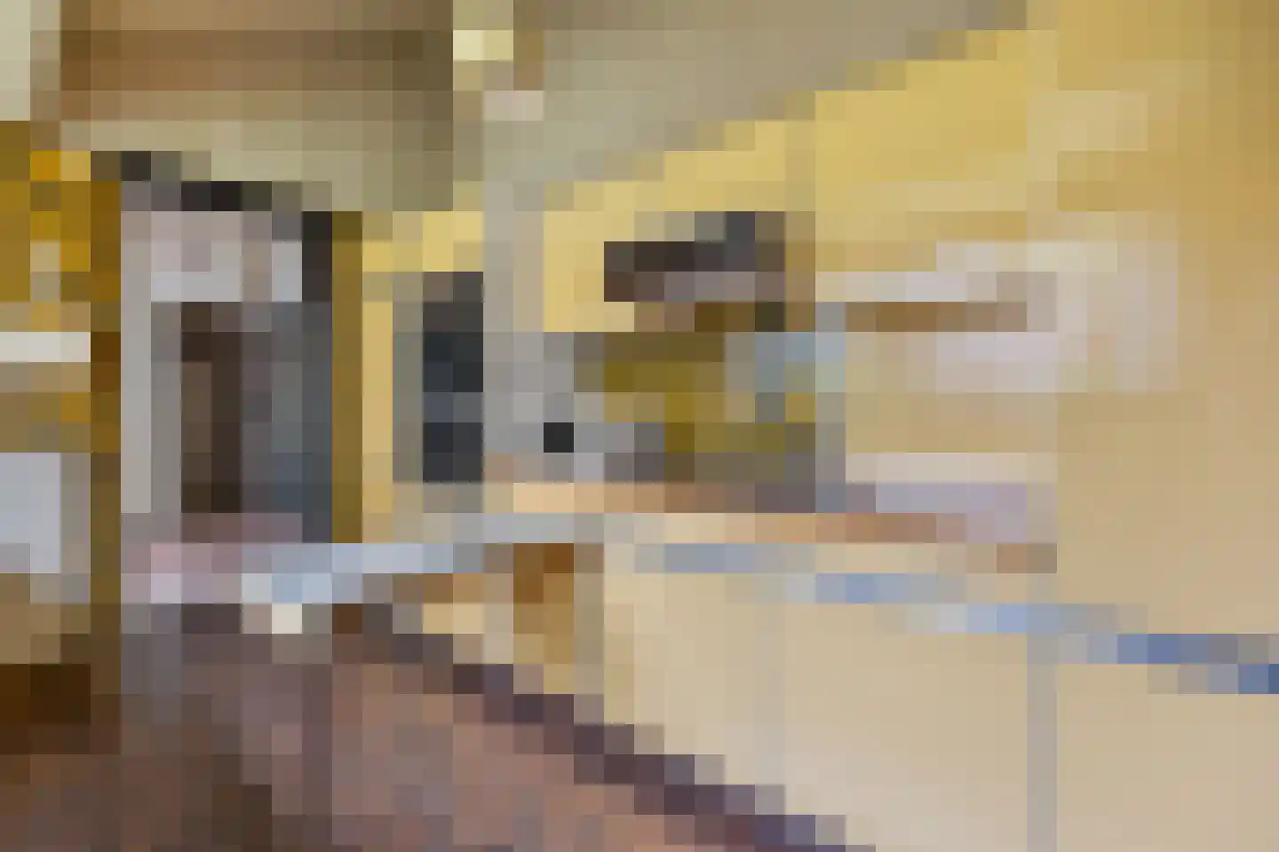 Besteveld 12 Breda thumbnail 49