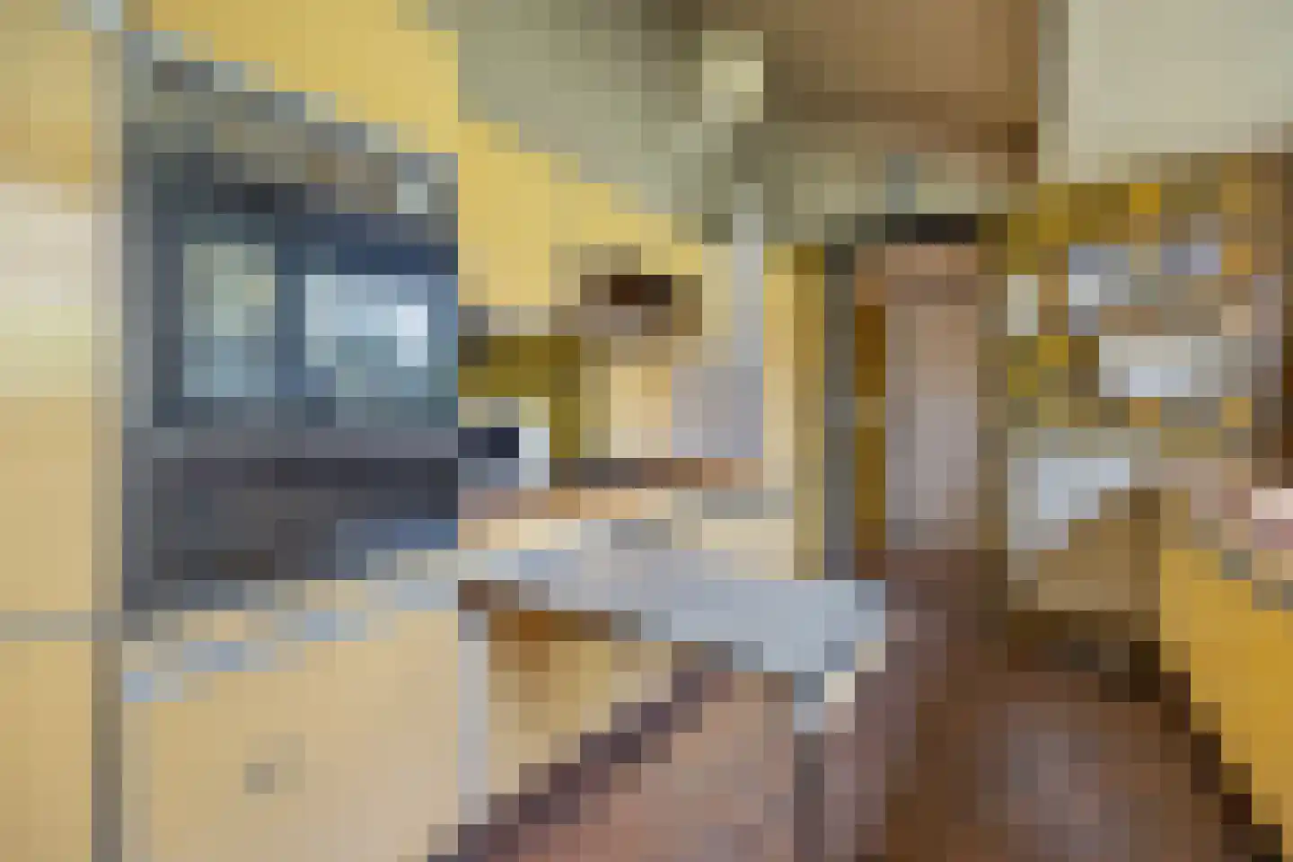 Besteveld 12 Breda thumbnail 50