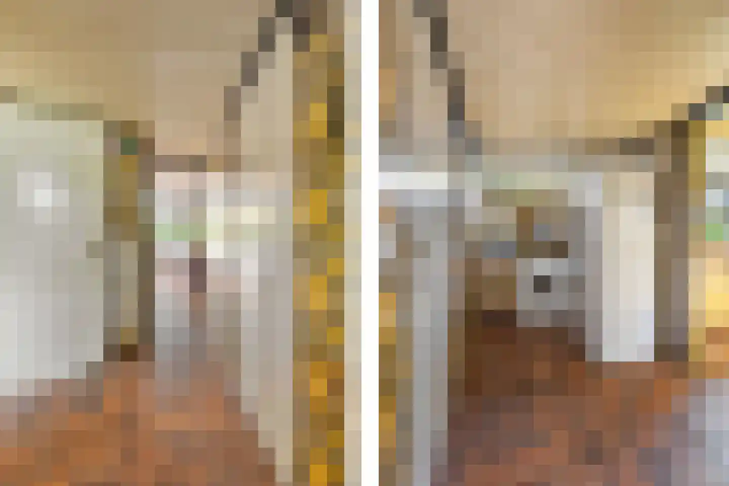 Besteveld 12 Breda thumbnail 52