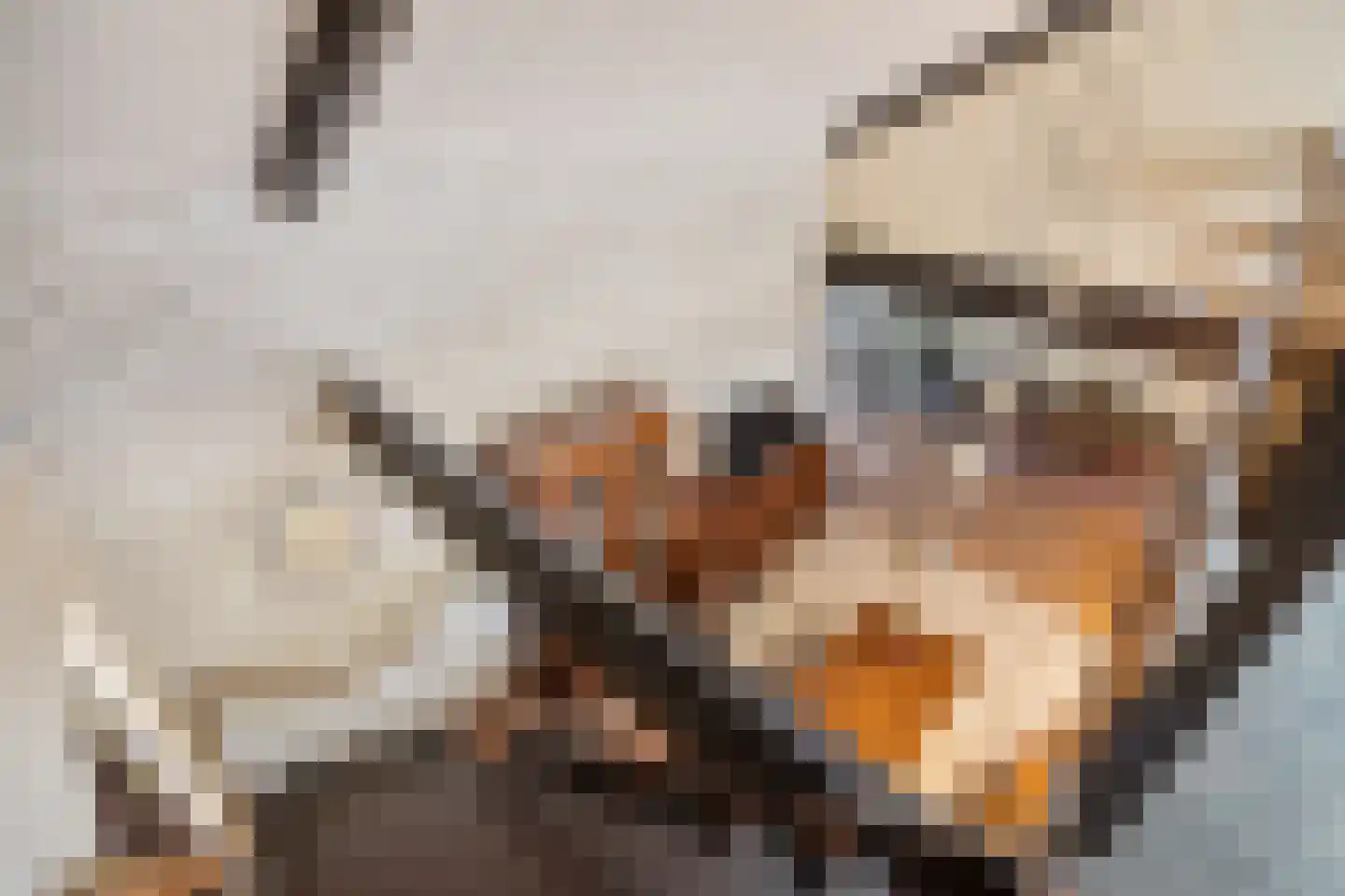 Besteveld 12 Breda thumbnail 68
