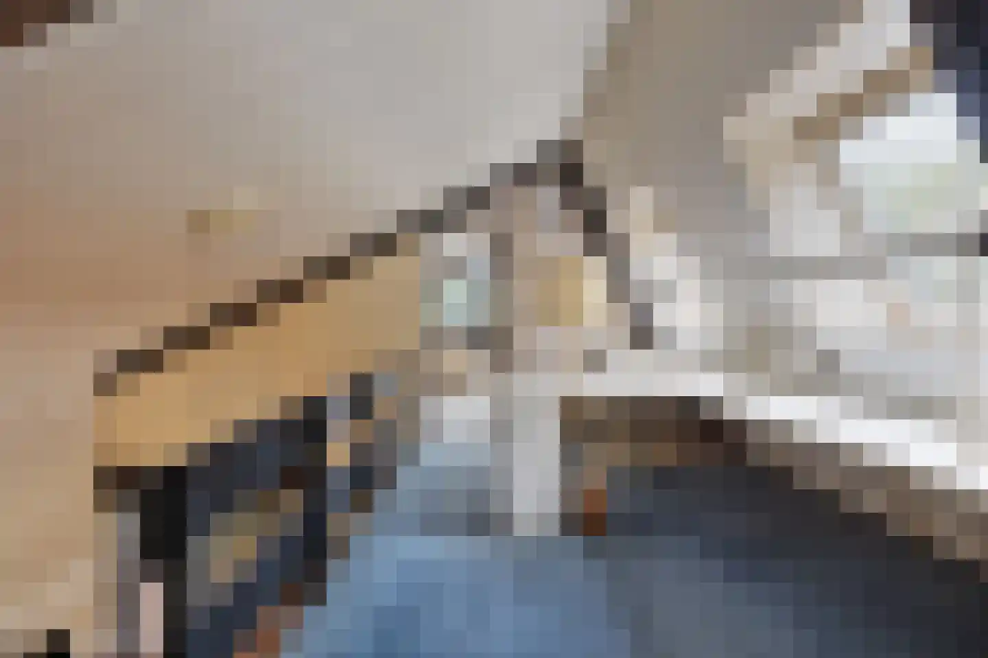 Besteveld 12 Breda thumbnail 72