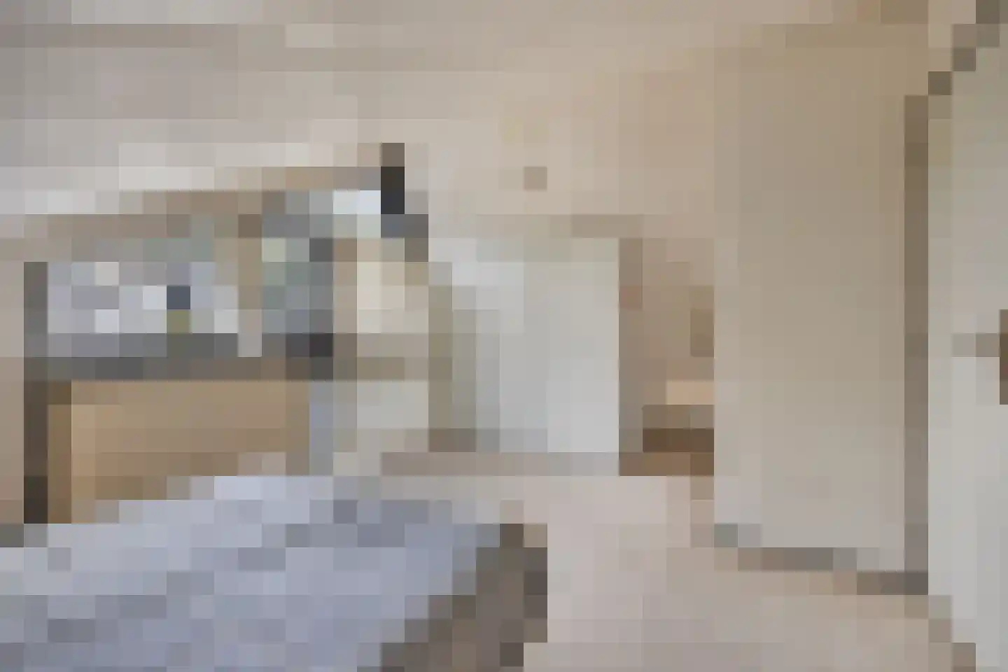 Besteveld 12 Breda thumbnail 75