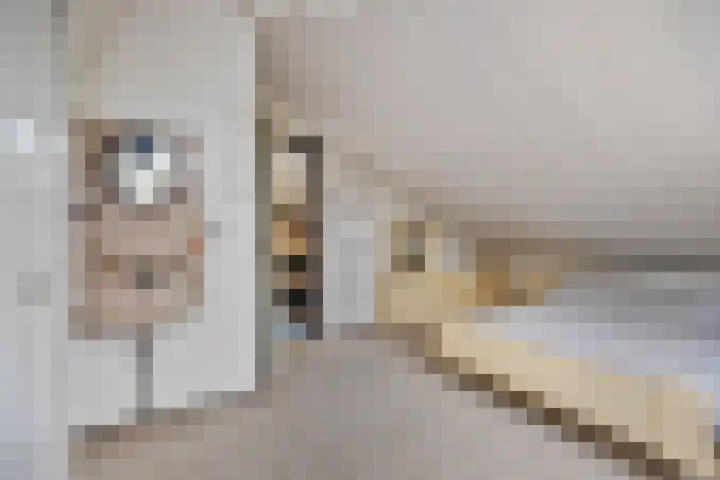 Besteveld 12 Breda thumbnail 77