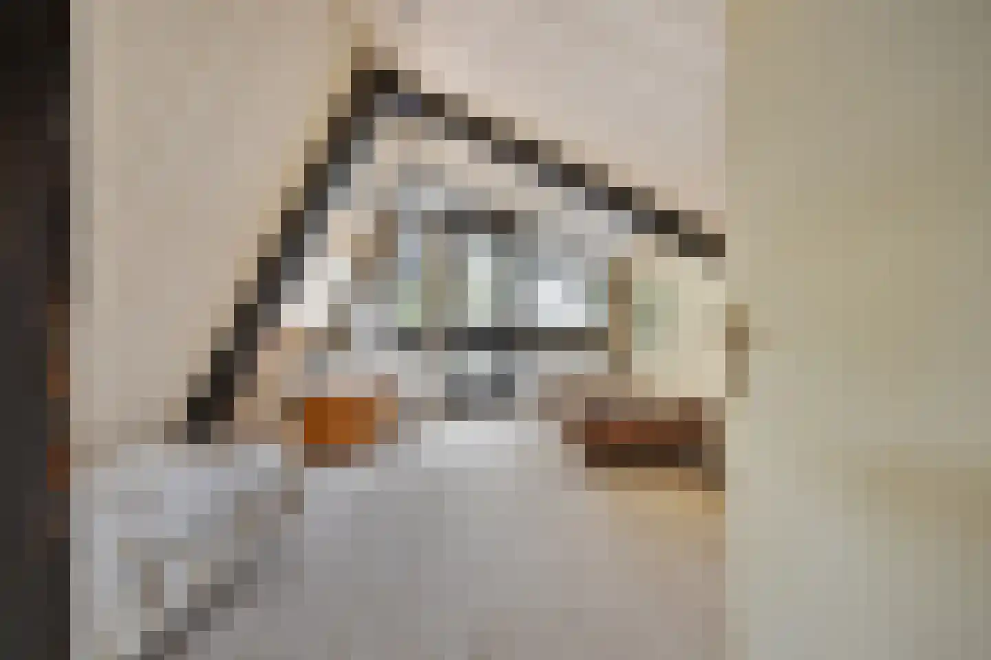 Besteveld 12 Breda thumbnail 79