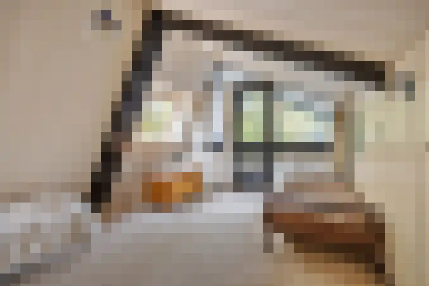 Besteveld 12 Breda thumbnail 80