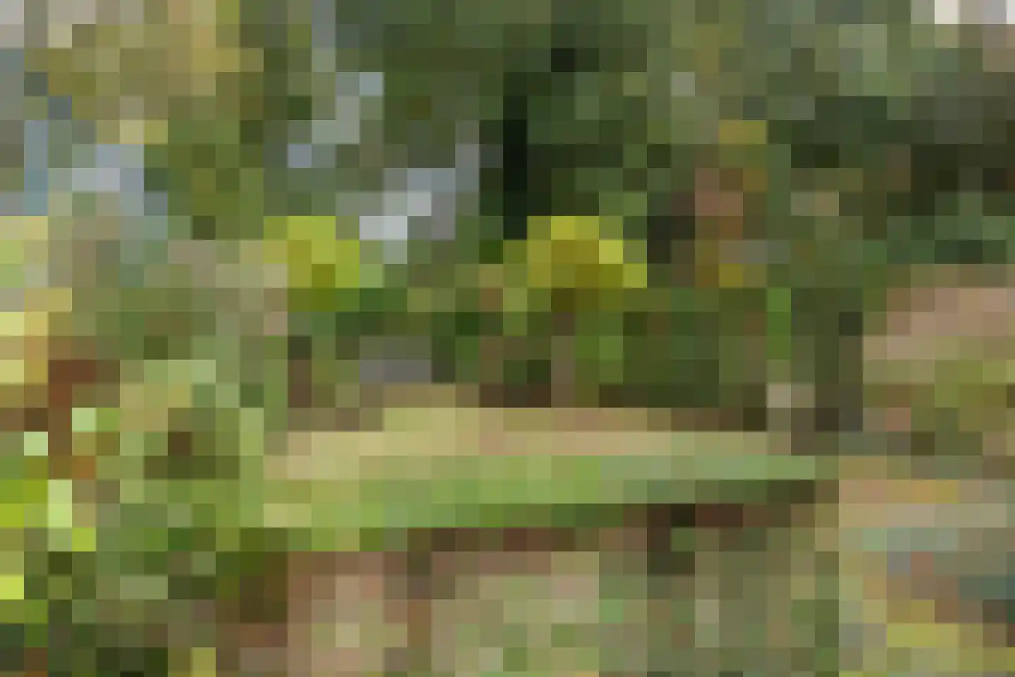 Besteveld 12 Breda thumbnail 89