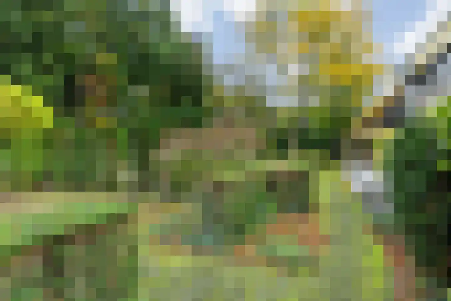 Besteveld 12 Breda thumbnail 90