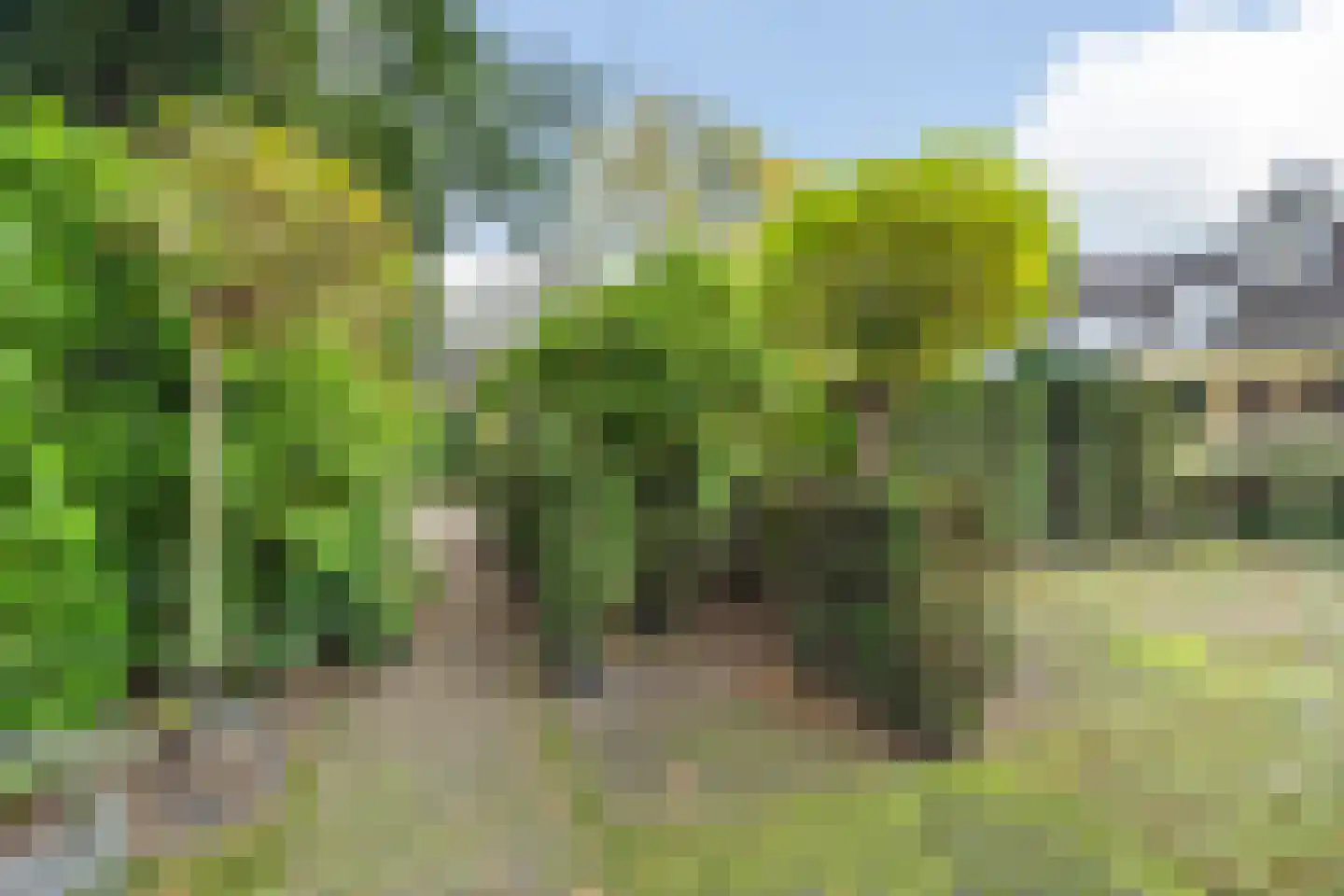 Besteveld 12 Breda thumbnail 92