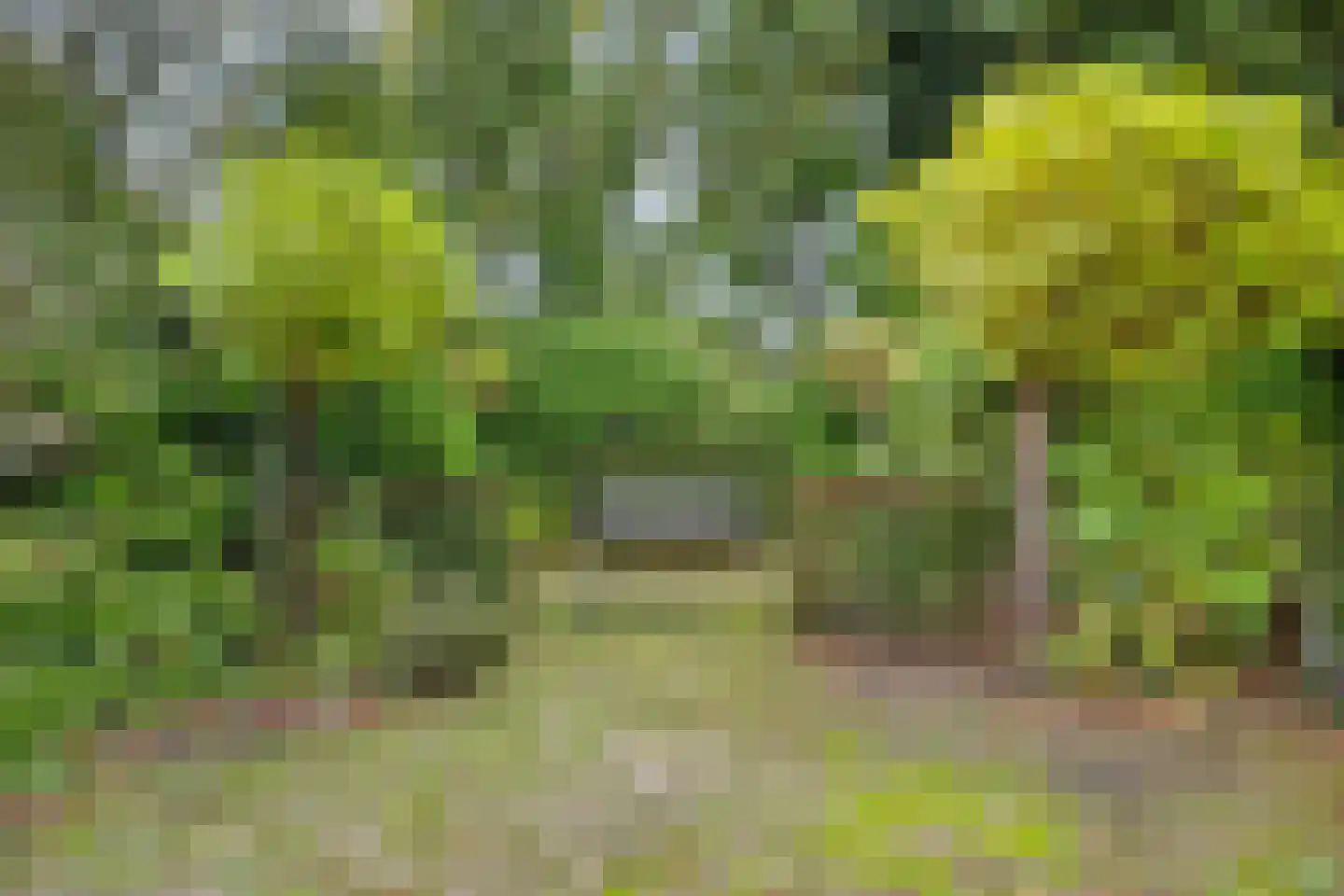 Besteveld 12 Breda thumbnail 93