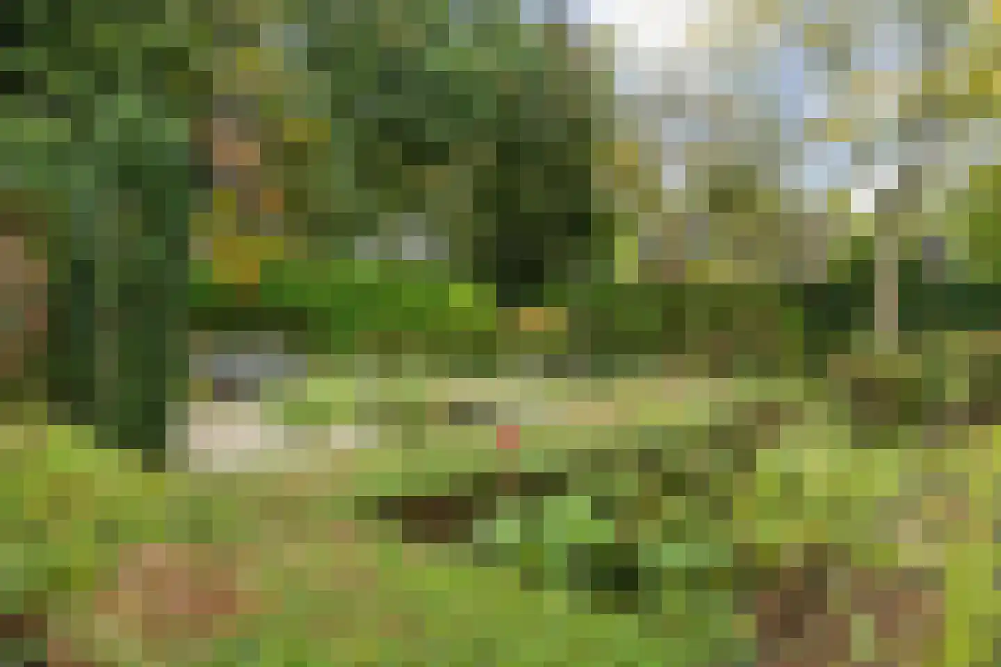 Besteveld 12 Breda thumbnail 94