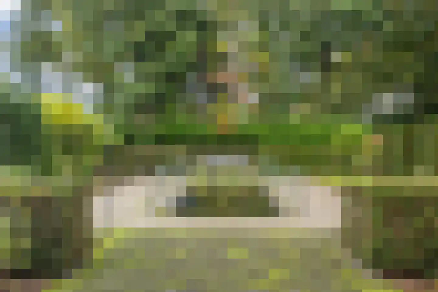 Besteveld 12 Breda thumbnail 95