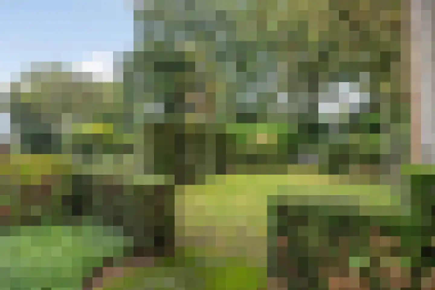 Besteveld 12 Breda thumbnail 96
