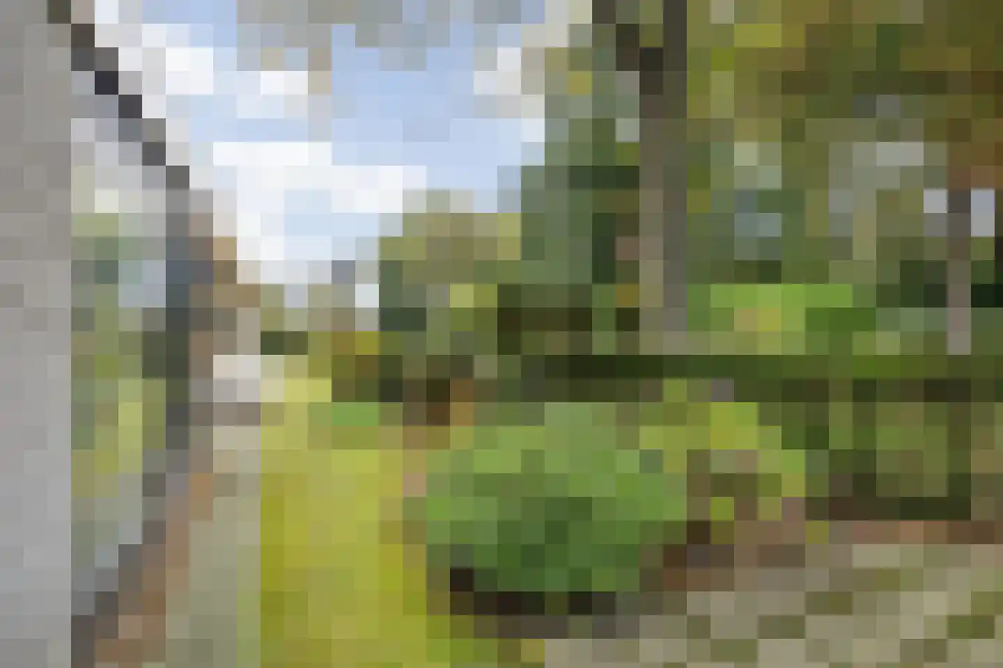 Besteveld 12 Breda thumbnail 97
