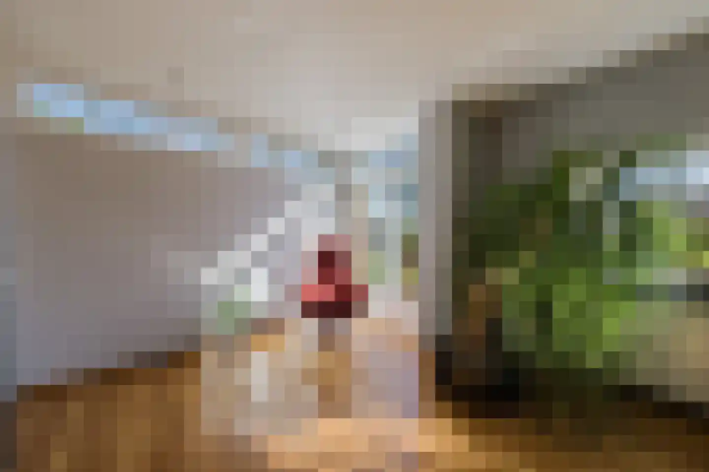 Bestseweg 11 Sint-Oedenrode thumbnail 27