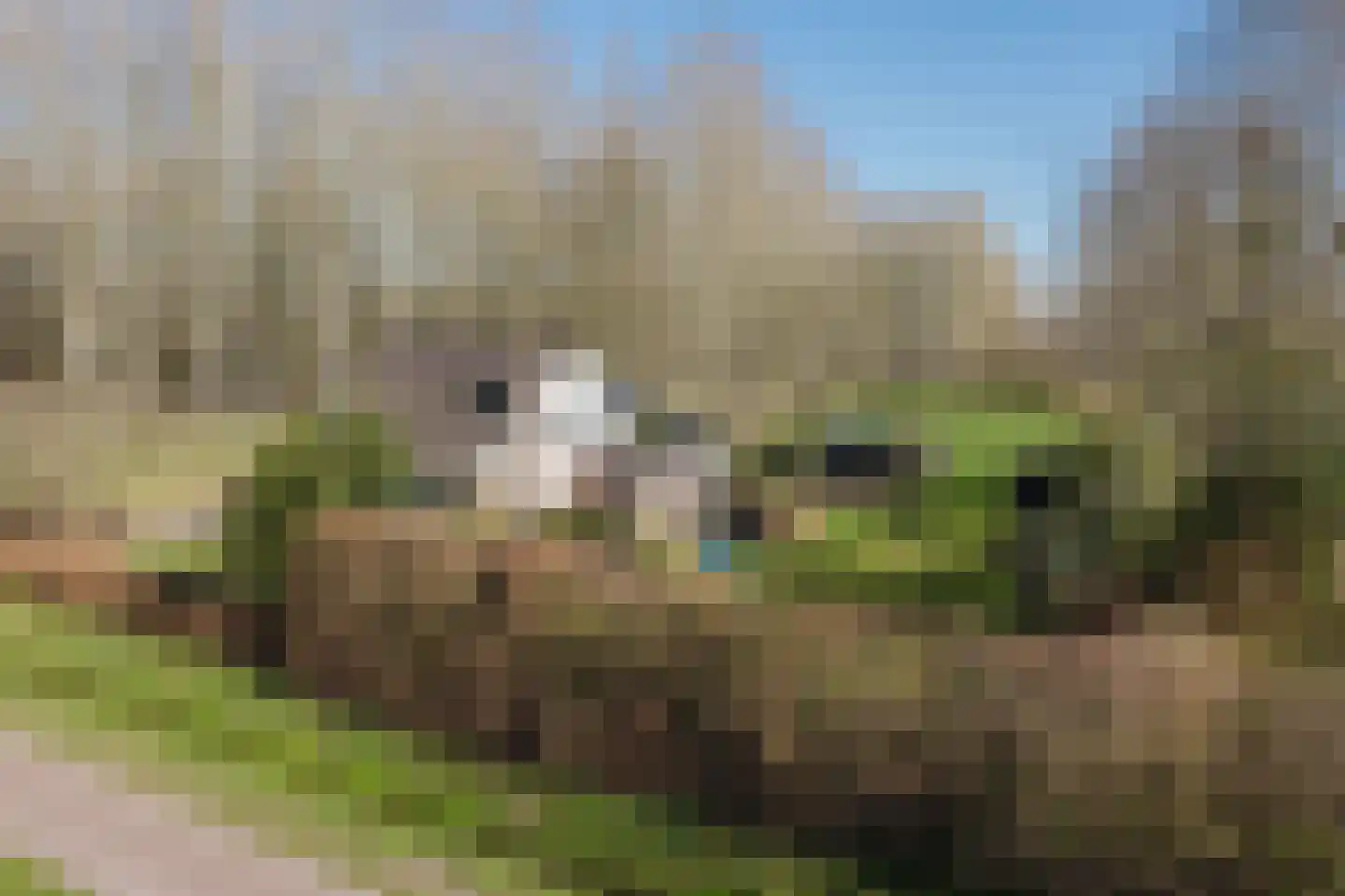 Bestseweg 11 Sint-Oedenrode thumbnail 4