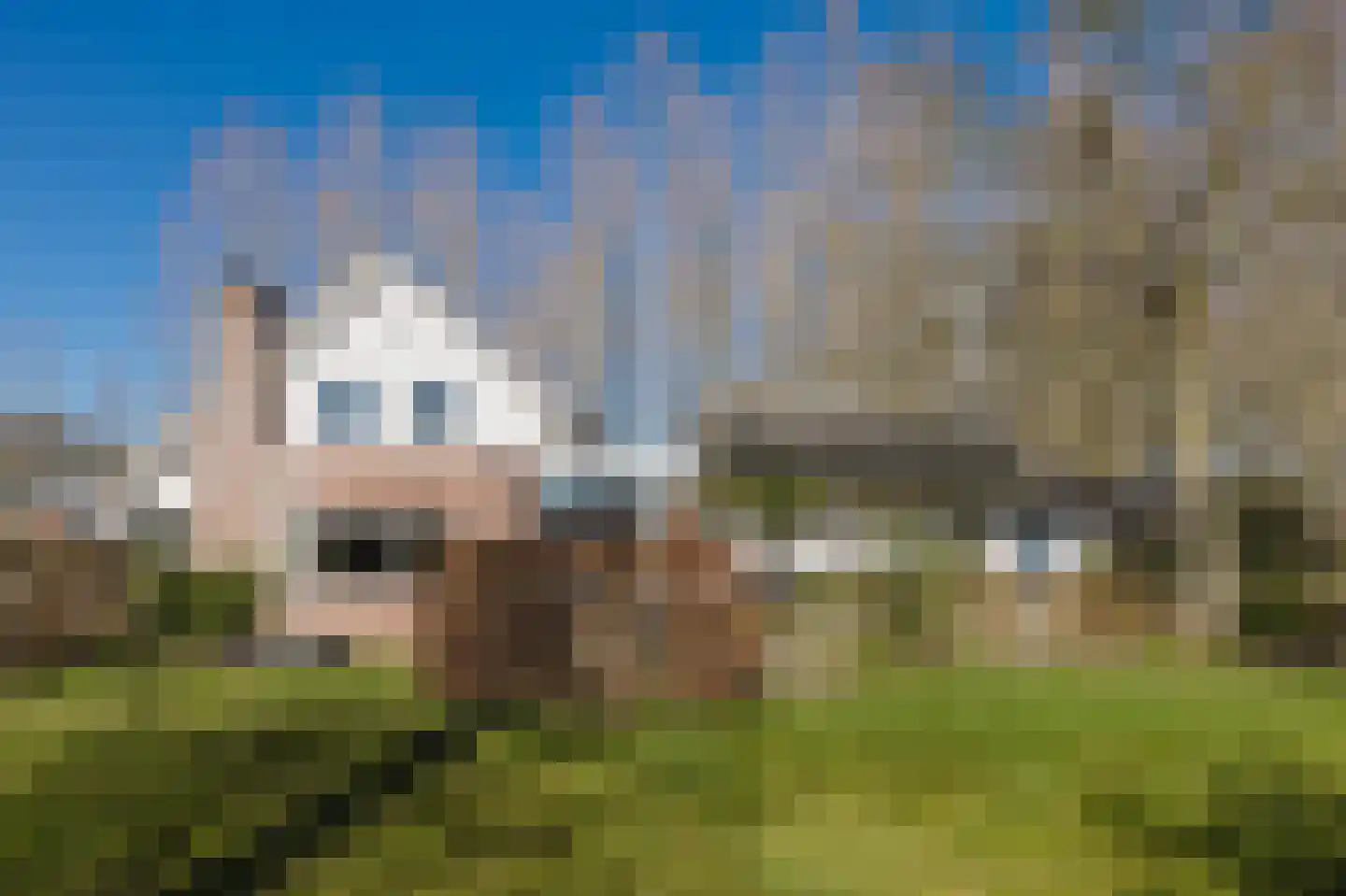 Bestseweg 11 Sint-Oedenrode thumbnail 50
