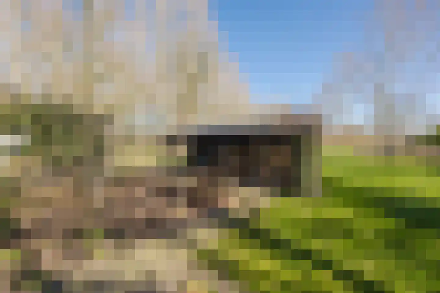 Bestseweg 11 Sint-Oedenrode thumbnail 56