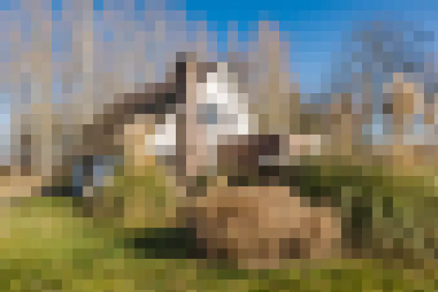 Bestseweg 11 Sint-Oedenrode thumbnail 65